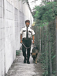 Guarddog Service